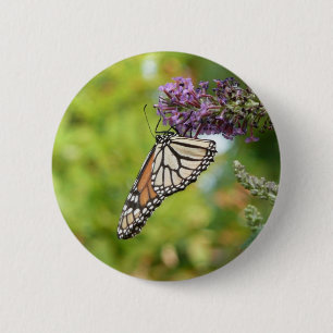 Macaron Rond 5 Cm Papillon Monarque sur papillon pourpre Bush