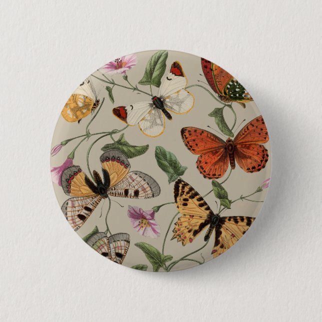 Macaron Rond 5 Cm Papillon Moth Nature Dessin aquarelle antique (Devant)