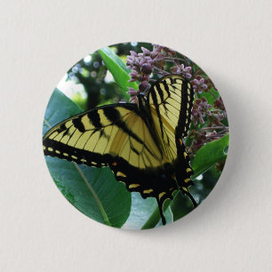 Macaron Rond 5 Cm Papillon Swallowtail I sur Asclépiade à Shenandoah