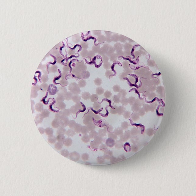 Macaron Rond 5 Cm Parasite Trypanosoma de sang (Devant)