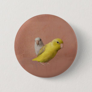 Macaron Rond 5 Cm Parrotlets