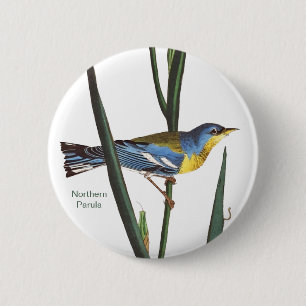Macaron Rond 5 Cm Paruline nordique, Audubon, Oiseau Birder Birdwatc