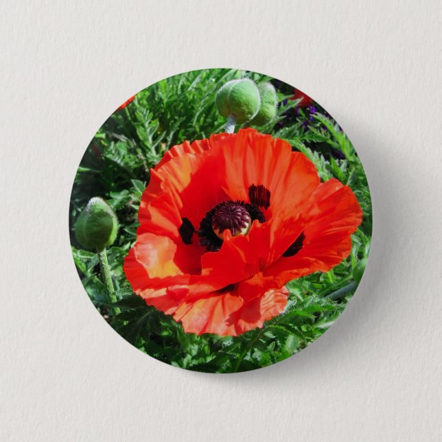 Macaron Rond 5 Cm Pavot rouge - bouton (Devant)