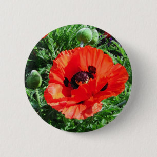 Macaron Rond 5 Cm Pavot rouge - bouton