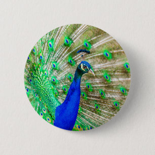 Macaron Rond 5 Cm Peacock Plumage