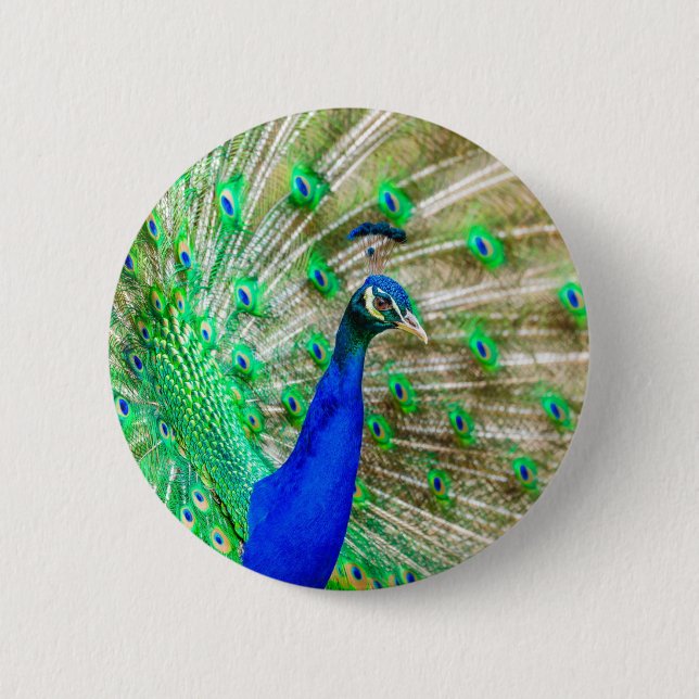 Macaron Rond 5 Cm Peacock Plumage (Devant)