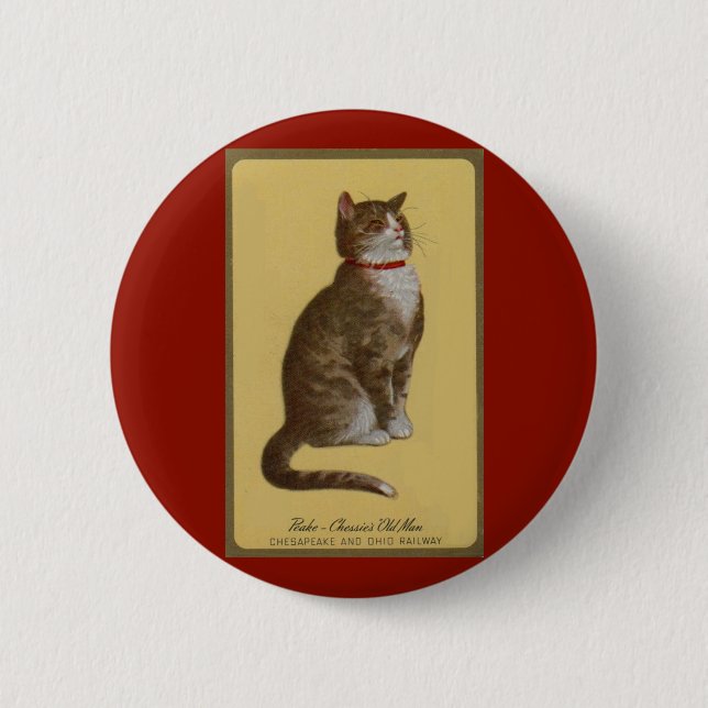 Macaron Rond 5 Cm Peake, le chat tabby de Chessie (Devant)