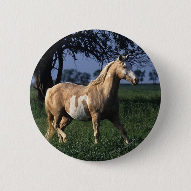 Macaron Rond 5 Cm Peignez le cheval tenant 2 (Devant)