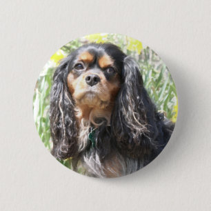 Macaron Rond 5 Cm Peint Cavalier roi Charles Espagnol