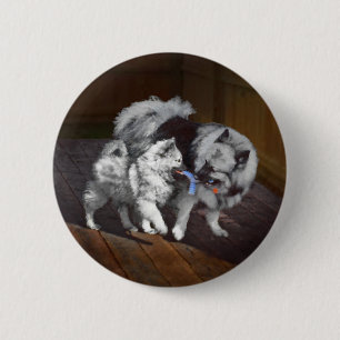 Macaron Rond 5 Cm Peinture Keeshond Playtime - Jolie art original ch