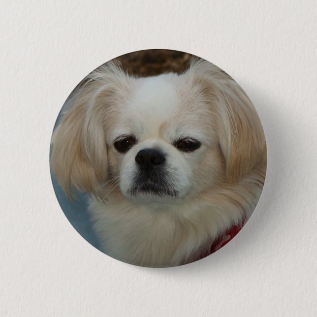 Macaron Rond 5 Cm Pekingese mignon (Devant)
