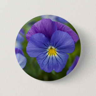 Macaron Rond 5 Cm Pensée pourpre