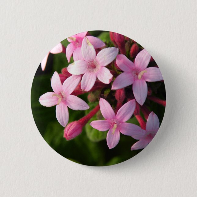 Macaron Rond 5 Cm Pentas (Devant)