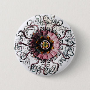 Macaron Rond 5 Cm Peromedusae d'Ernst Haeckel