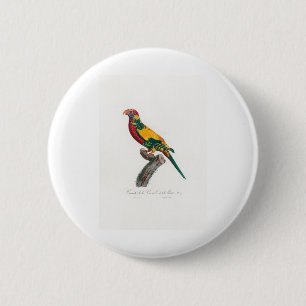Macaron Rond 5 Cm perroquet de macaw