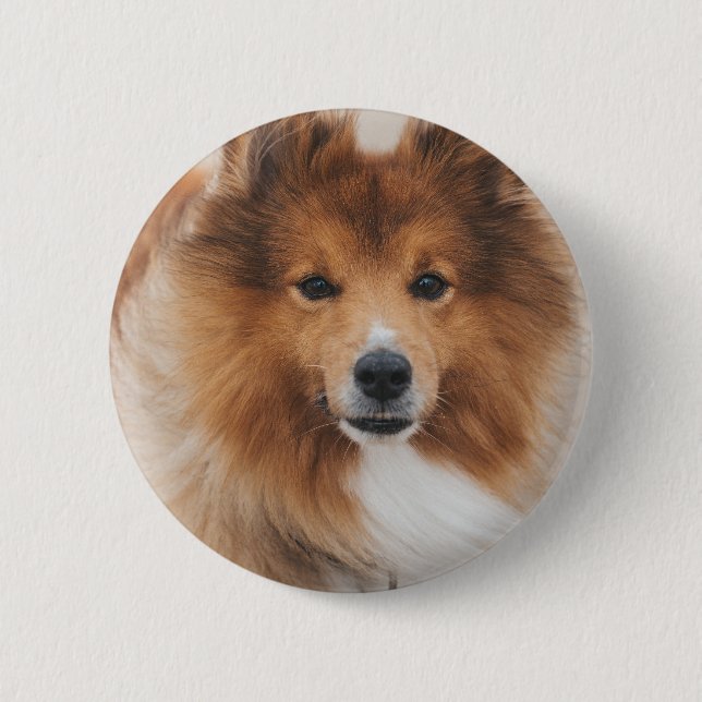 Macaron Rond 5 Cm Personalized Pet Dog Lover Photo (Devant)