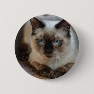 Macaron Rond 5 Cm Personnalisé Pet Cat Image Ajouter Votre Propre Ph