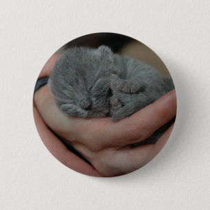 Macaron Rond 5 Cm Petit Bébé bleu Kitten
