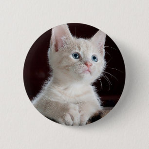 Macaron Rond 5 Cm Petit chaton blanc