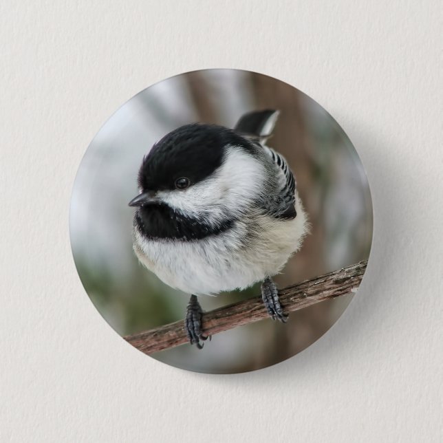 Macaron Rond 5 Cm Petit Chickadee mignon (Devant)