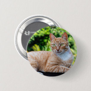 Macaron Rond 5 Cm Petit chou doux