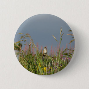 Macaron Rond 5 Cm Petit colibri gras