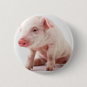 Macaron Rond 5 Cm Petit porc