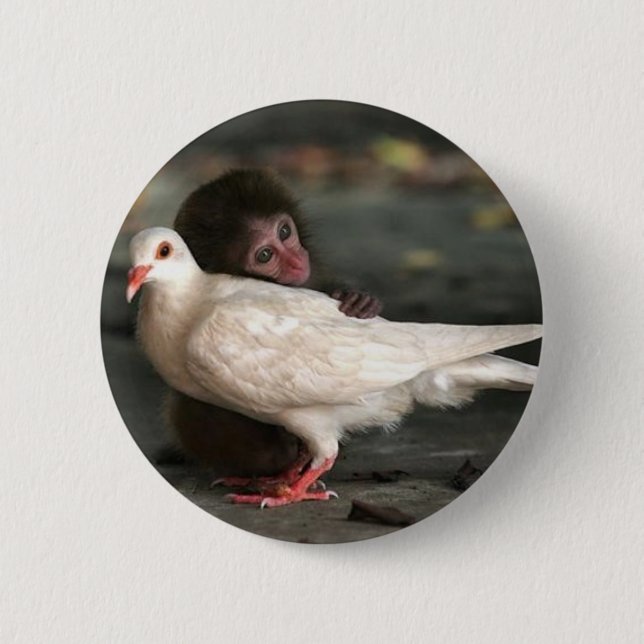 Macaron Rond 5 Cm Petit singe étreignant l'oiseau (Devant)