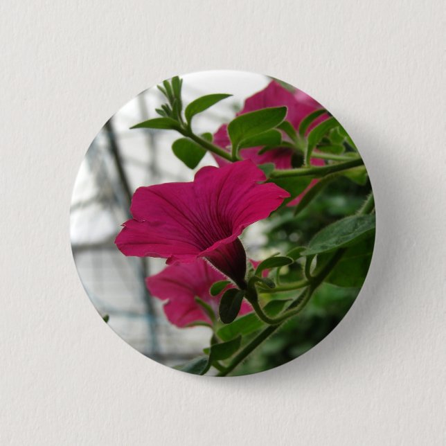 Macaron Rond 5 Cm Petunia (Devant)