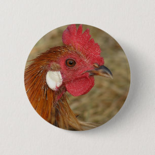 Macaron Rond 5 Cm Phoenix Rooster