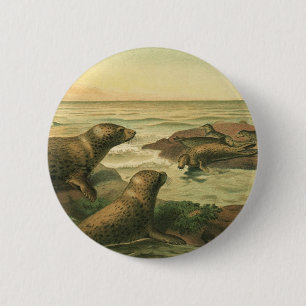 Macaron Rond 5 Cm Phoques léopards, Animaux aquatiques Vintages Vie