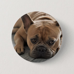 Macaron Rond 5 Cm Photo de chien personnalisé