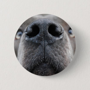 Macaron Rond 5 Cm Photo de Dogue Allemand