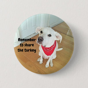 Macaron Rond 5 Cm Photo de mignon chien de levrette avec des oreille