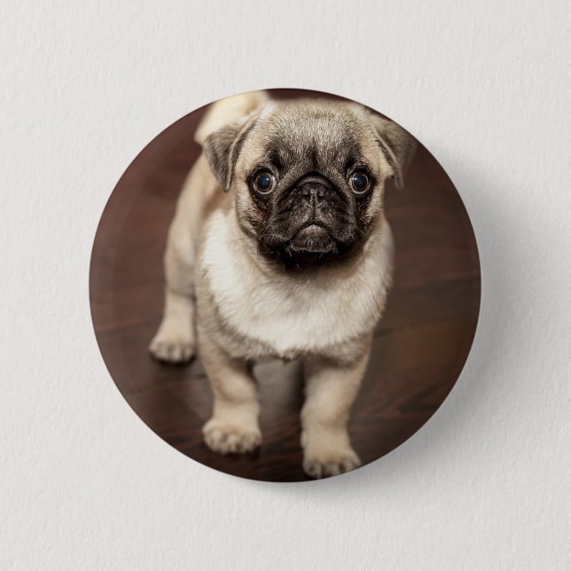 Macaron Rond 5 Cm Photo mignonne de chiot de carlin (Devant)