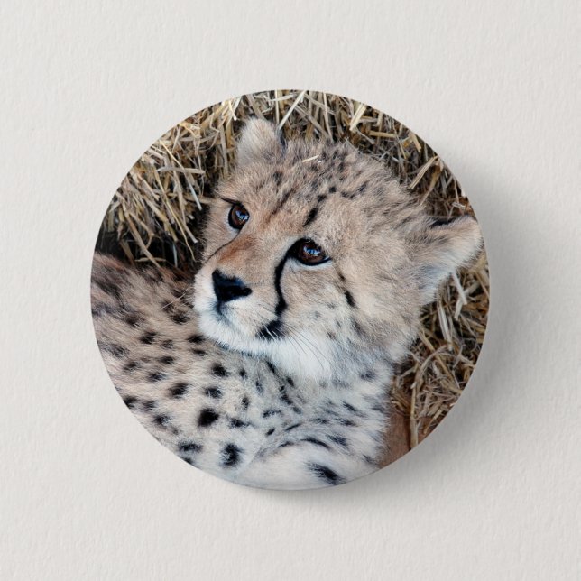 Macaron Rond 5 Cm Photo mignonne de CUB de guépard (Devant)