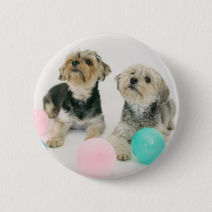 Macaron Rond 5 Cm Photo pour animaux de compagnie personnalisée ou b