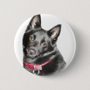Macaron Rond 5 Cm Photo Schipperke