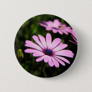 Macaron Rond 5 Cm Photographie de fleur de Marguerite africaine