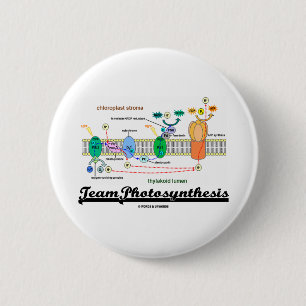 Macaron Rond 5 Cm Photosynthèse d'équipe (réactions dépendant de