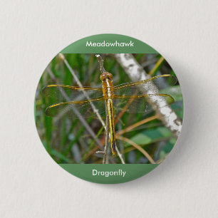Macaron Rond 5 Cm Pièces de libellules de Meadowhawk d'or (Sympetrum