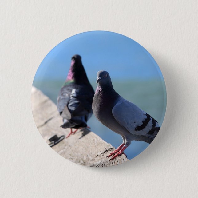 Macaron Rond 5 Cm Pigeon (Devant)