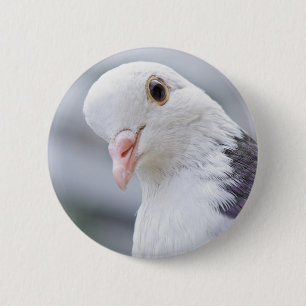 Macaron Rond 5 Cm Pigeon