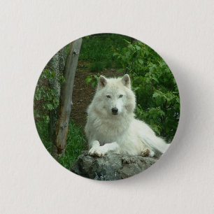 Macaron Rond 5 Cm Pin arctique de loup