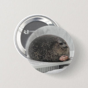 Macaron Rond 5 Cm Pin Button