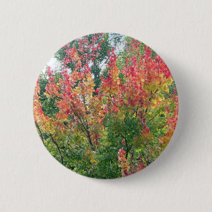 Macaron Rond 5 Cm Pin d'automne