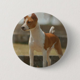 Macaron Rond 5 Cm Pin de Basenji