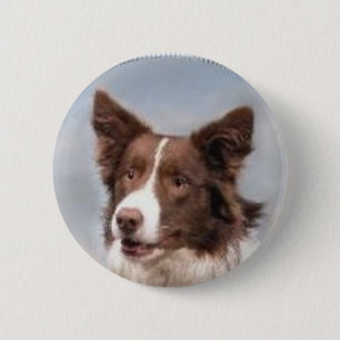 Macaron Rond 5 Cm Pin de border collie