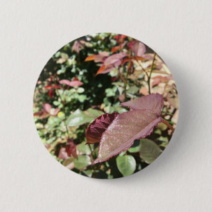 Macaron Rond 5 Cm Pin de feuille