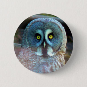 Macaron Rond 5 Cm Pin de hibou